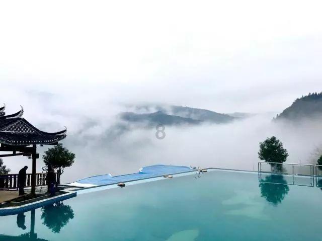 豆娃勇士